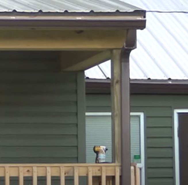 Seamless gutters Bryant AR